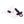 Load image into Gallery viewer, Assifier | Remote Controlled Vibrating Thrusting Plug